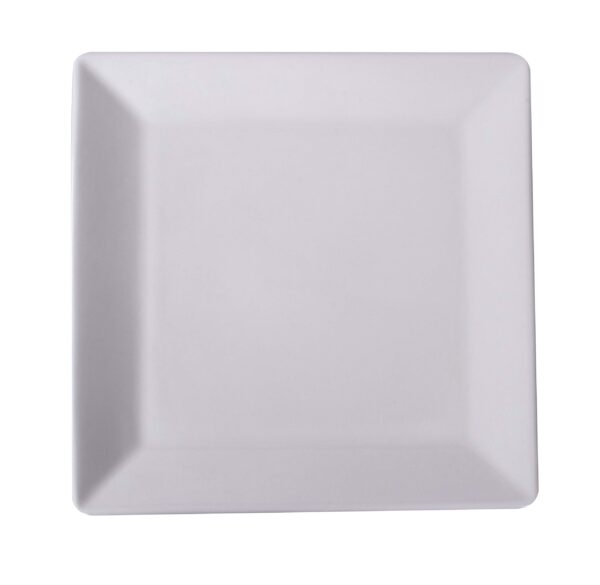 Panorama Square plate