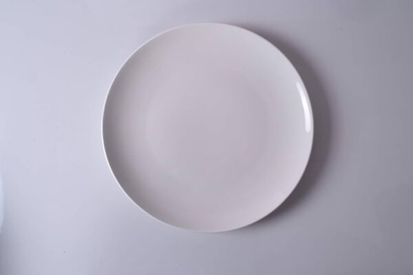 Round Rimless plate 27cm 1