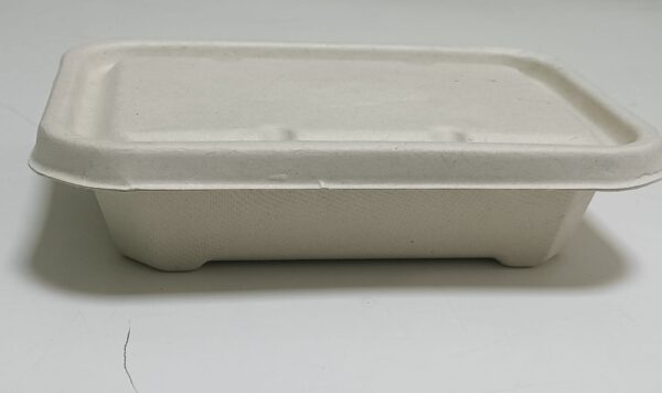 Bagasse Rectangular container 4
