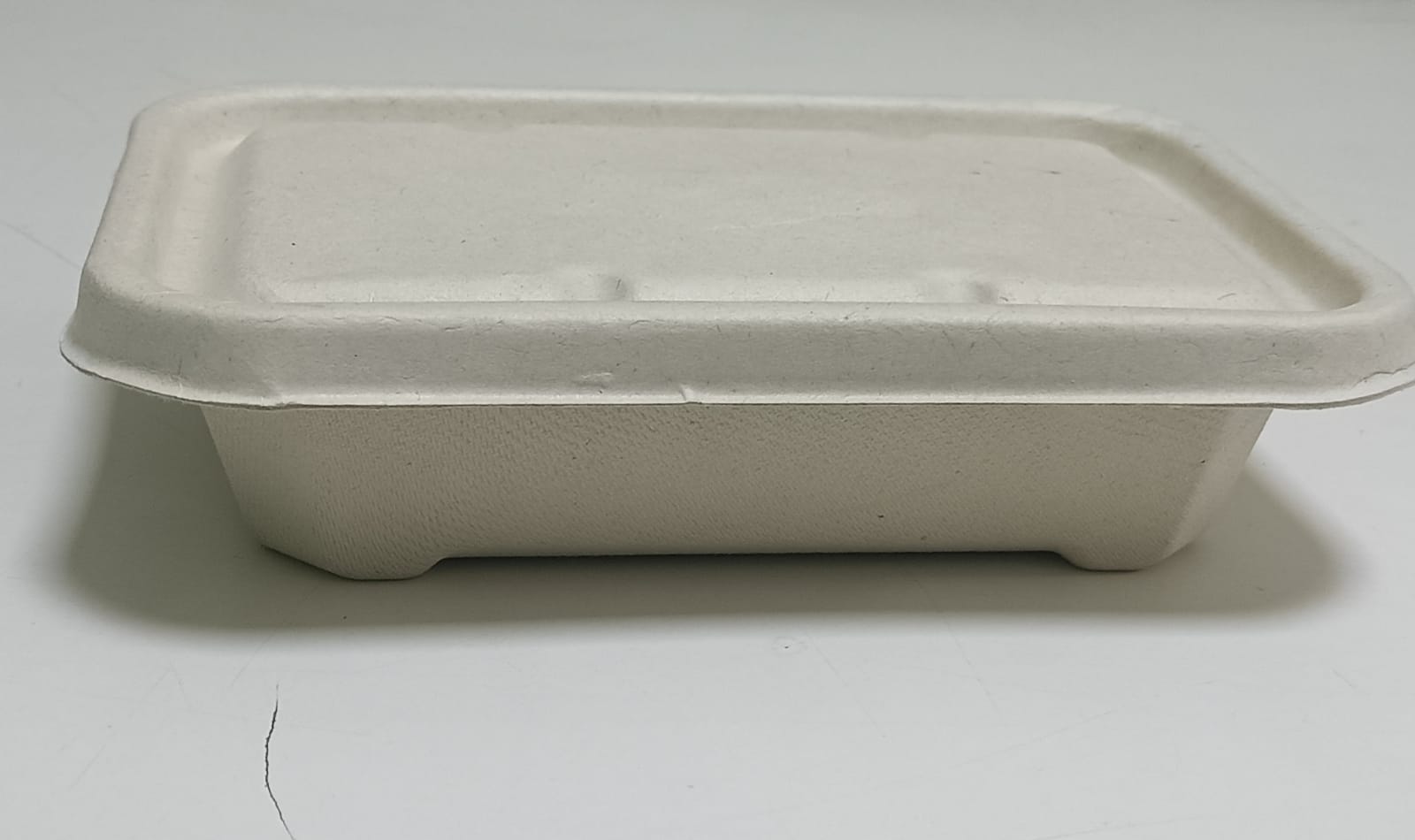 Bagasse Rectangular container 4 Bagasse Rectangular container 4