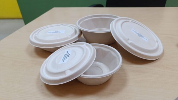 Bagasse Round Bowl 3