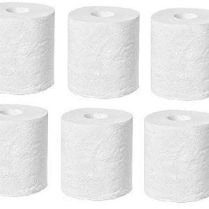 Toilet Roll 300 Pulls (100 gm) 2 Ply