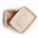 ZUME PREMIUM RECTANGULAR CONTAINER | PACK OF 600